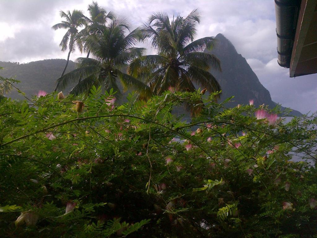 Hummingbird Beach Resort Soufrière Exteriör bild